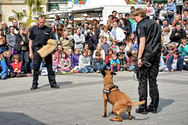 Polizeishow   048.jpg